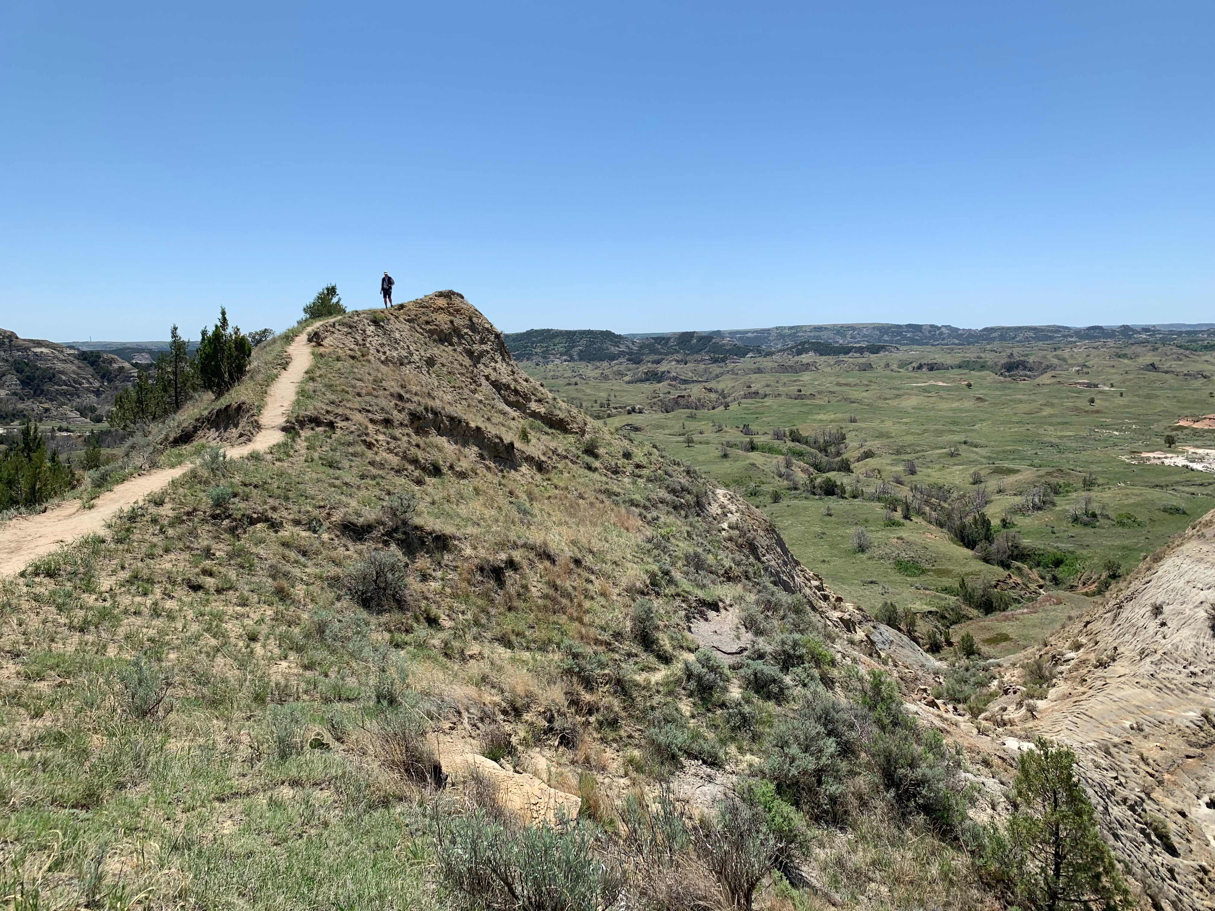 Theodore Roosevelt NP